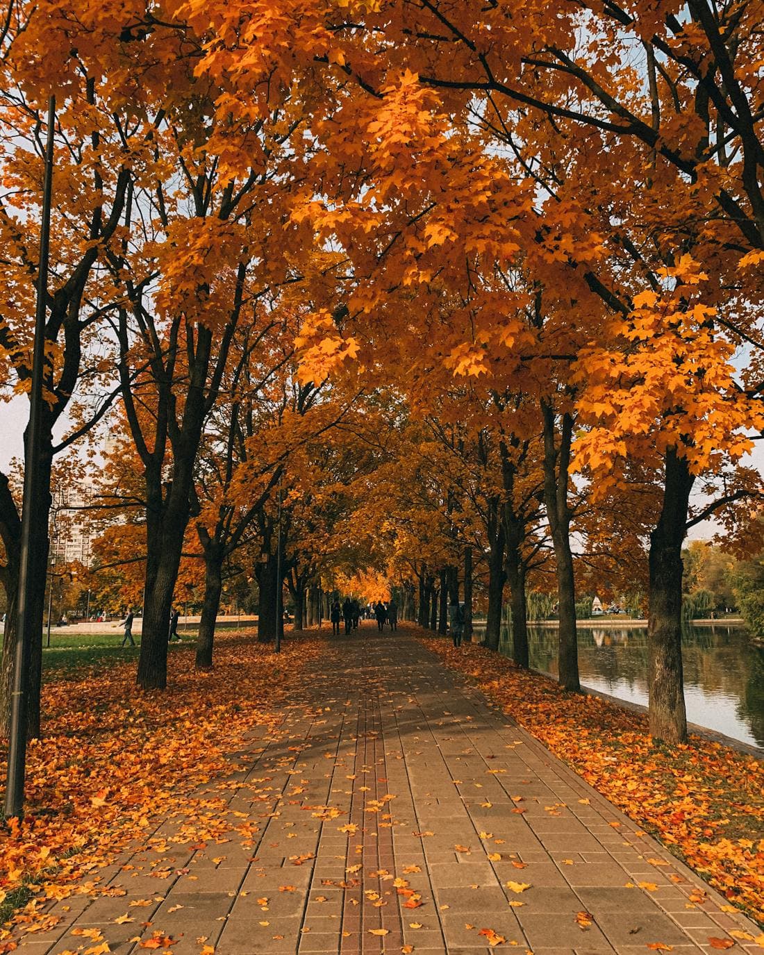 Herbstlicher Parkweg entlang eines Gewässers